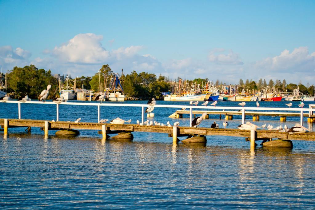 Moby Dick Waterfront Resort Motel Yamba Exterior photo