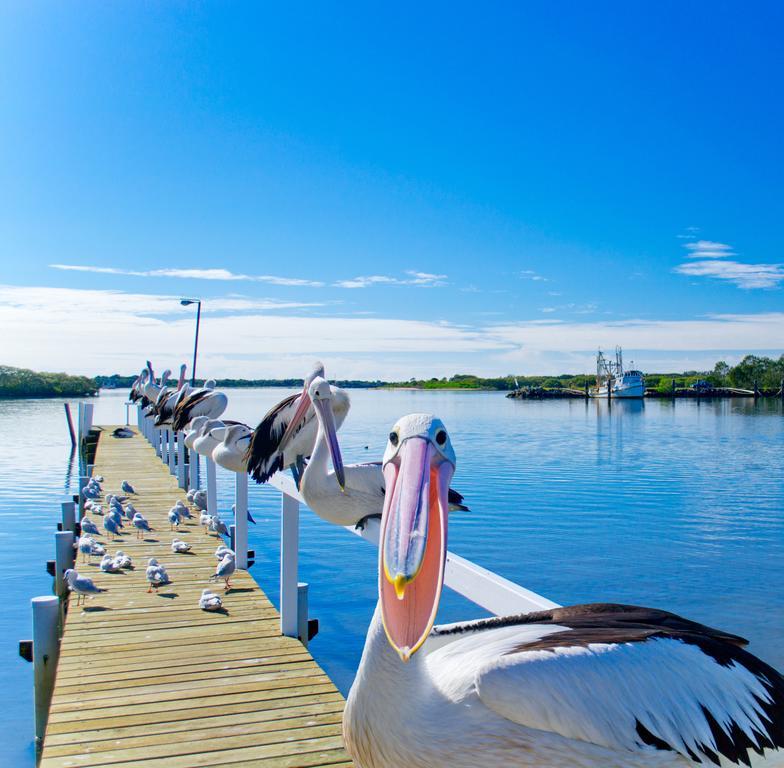 Moby Dick Waterfront Resort Motel Yamba Exterior photo